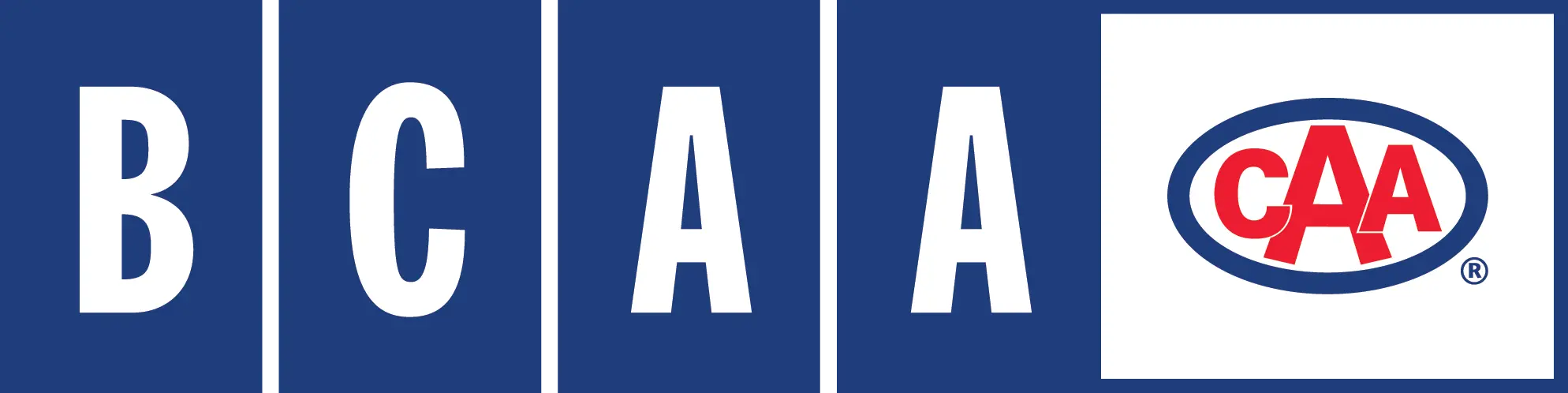 BCAA BCAA